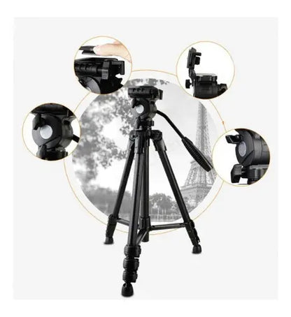Trípode Profesional Cabeza Fluida  Camara O Celular Bst3598